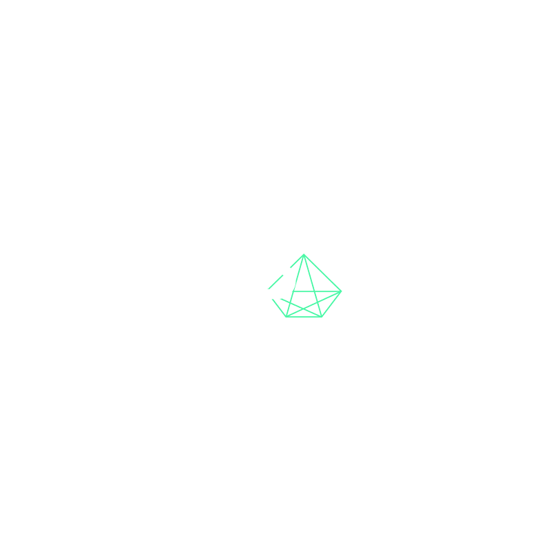 executive coaching diagram